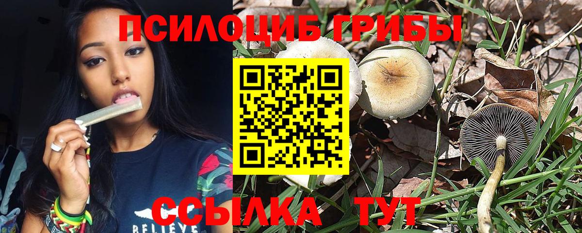 Галлюциногенные грибы прущие грибы Кимовск