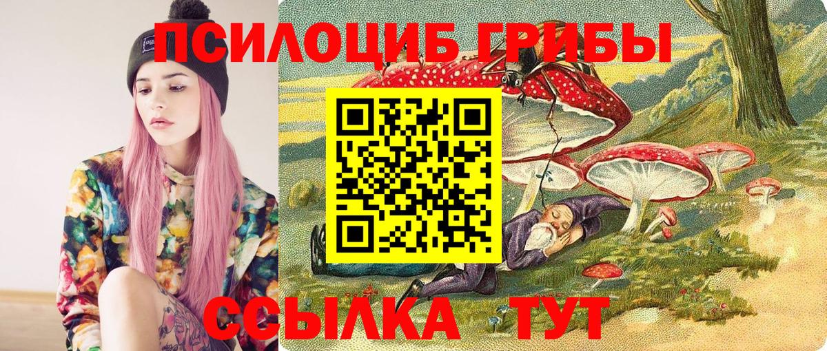 MDMA Кимовск